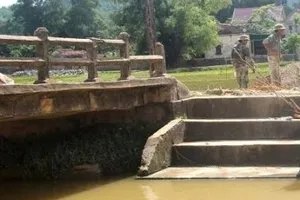 Đi giặt, phát hiện xác phụ nữ trôi trên kênh