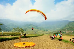 Vẻ đẹp mùa vàng Mù Cang Chải từ dù lượn