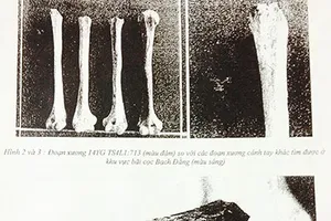 Phát hiện các dấu tích mới của trận chiến Bạch Đằng