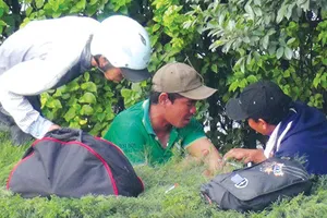 ​Dân kêu trời vì chợ ma túy