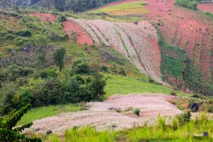 Theo chân tam giác mạch trên cao nguyên đá