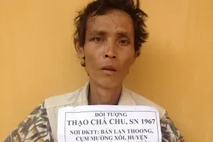 Bắt 2 vụ buôn ma túy lớn từ Lào về Việt Nam