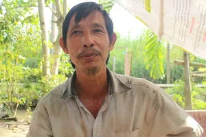 Cho heo nghe nhạc để dễ đậu thai