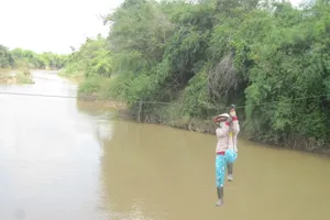 Đánh đu trên miệng tử thần