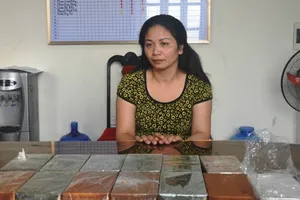 Nữ quái chôn 8 bánh heroin dưới gốc cây nghệ