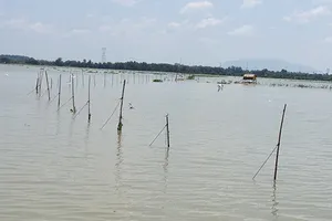 Phải dẹp xong đăng chắn hồ Trị An trong tháng 11