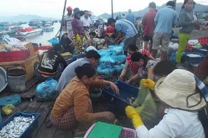 Khám phá nhịp sống làng chài giữa Vịnh Cam Ranh