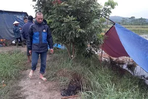 Lão nông bị sát hại giữa cánh đồng lúc mờ sáng