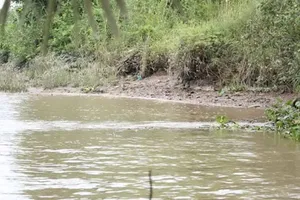 Bà lão trôi sông suốt năm ngày vẫn sống sót kỳ diệu