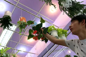 Chợ ‘ve chai’ cuối tuần giữa lòng Sài Gòn