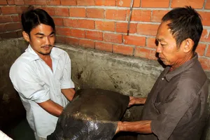 Ngư dân bắt được con cua đinh khủng