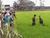 Lại bẫy chuột bằng điện làm chết hàng xóm