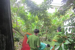 Cụ bà 78 tuổi chết trên ghế bố hơn 20 ngày 