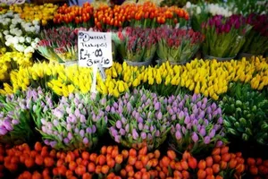 10 khu chợ có màu sắc cuốn hút nhất thế giới