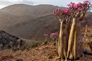 12 di sản thiên nhiên tuyệt mỹ của trái đất