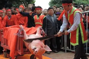 Lễ hội chém lợn: Lấy ý kiến cộng đồng đổi tên thành 'lễ rước' 