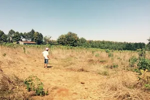 Bắt khẩn cấp nghi can đốt cháy chủ nợ