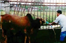 Công dụng của nước