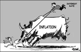 Bí quyết giúp bò tăng trọng nhanh