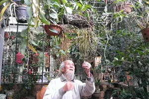 Thói quen ngày Tết của các nghệ sĩ gạo cội đất Bắc