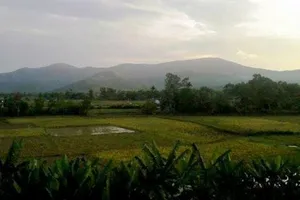 Đi trang điểm cô dâu, bị lừa đưa vào rừng hiếp dâm