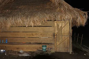 Hai trong số năm nghi can hiếp dâm tập thể nữ sinh ra đầu thú