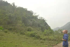 Giành giật cô gái trẻ với cọp vàng ở khu rừng không ai dám tới