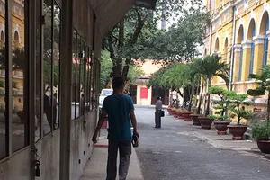 Giật vé số nhưng nhất quyết chỉ lừa chứ không cướp