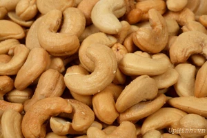 Việt Nam xuất khẩu gần 60 nghìn tấn hạt điều nhân