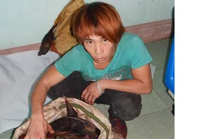 Bắt đối tượng săn Sơn Dương quý hiếm