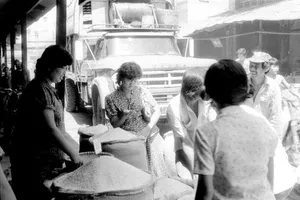 Gạo vào bếp dân