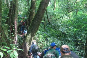 Lên đỉnh núi thiêng