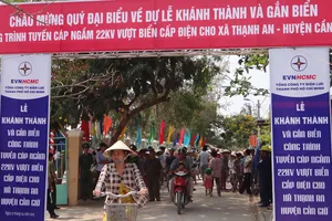 Xã đảo độc nhất Sài Gòn đón nguồn điện xuyên biển