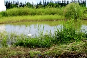 Người đàn ông chết dưới hồ nước với vết chém trên đầu