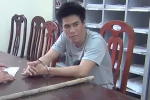 Con rể “ngáo đá” đập phá tài sản, châm lửa đốt xe của bố vợ