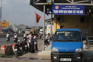 Bắt giữ hơn 1 tấn thịt gà hư thối 