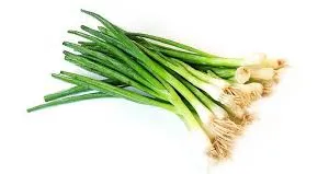 Những tác dụng của hành lá ít người biết