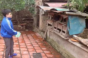 Buổi sáng định mệnh của cậu bé ở nhờ trong thảm án cuồng ghen