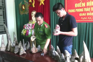 Bắt 2 kẻ vận chuyển 31 sừng tê giác từ TP.HCM ra Nghệ An