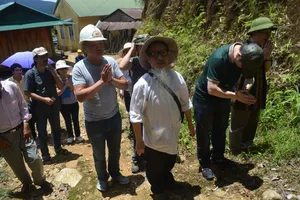 Thú chơi Sâm Ngọc Linh