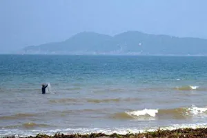 Tắm biển, 2 anh em sinh đôi cùng người bạn mất tích