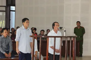 Phát cây làm mây gây cháy rừng