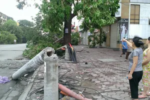 Giật mình với chất lượng trụ đèn sau giông