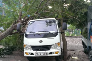 Cơn giông có cường độ cực kỳ mạnh như thế này là rất hiếm!
