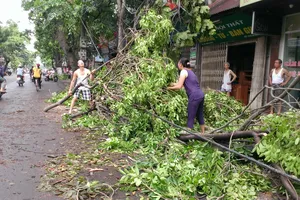 Người dân Hà Nội thu dọn sau cơn giông