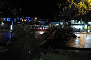 Mưa giông cây ngã chắn hết đường đi