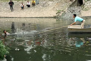 Clip bị truy bắt, người đàn ông nhảy xuống sông Tô Lịch