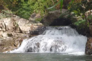 Bình Phước: Điều tra vụ mẹ bỏ con ở khe suối dẫn đến tử vong