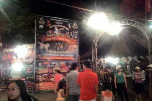 Đi xem xiếc, 3 người bị thương