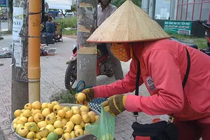 Thị thơm cô Tấm xuống phố